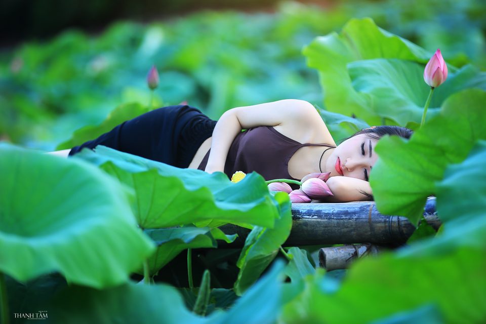 Hồng Rubyshi - Cô gái và hoa sen – photo 11