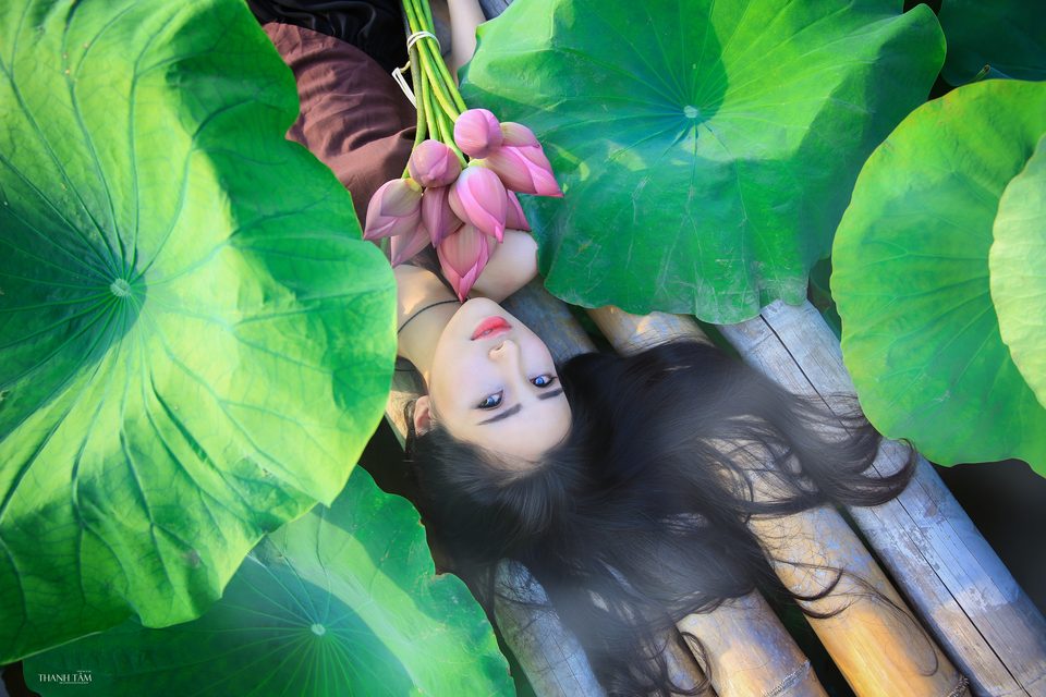Hồng Rubyshi - Cô gái và hoa sen – photo 14