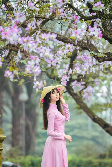 Màu tím mộng mơ của Áo Dài Việt Nam – photo 6