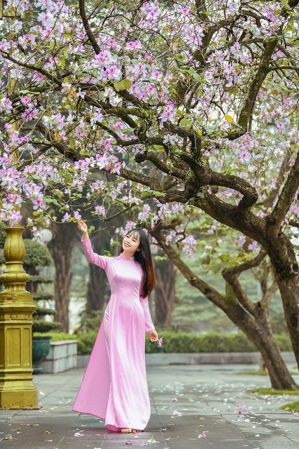 Màu tím mộng mơ của Áo Dài Việt Nam – photo 10