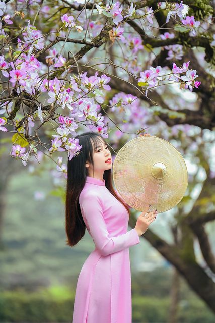 Màu tím mộng mơ của Áo Dài Việt Nam – photo 18