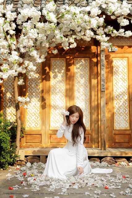 Áo Dài truyền thống Việt Nam  5 – photo 25