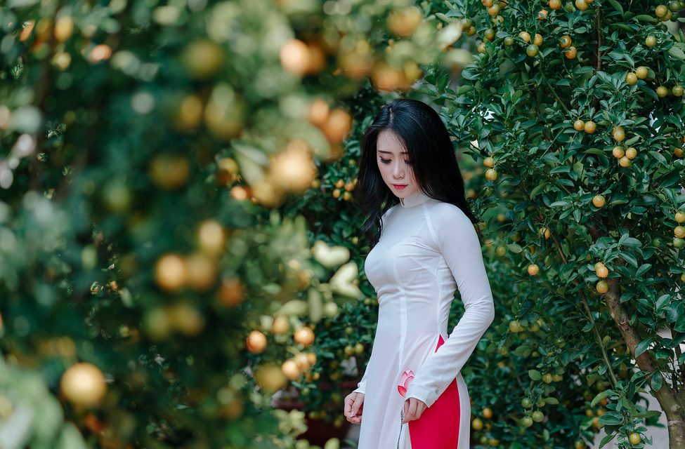 Áo Dài truyền thống Việt Nam 9 – photo 64