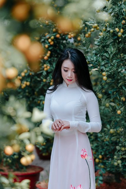 Áo Dài truyền thống Việt Nam 9 – photo 67
