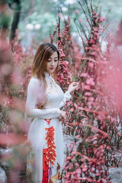 Áo Dài truyền thống Việt Nam 9 – photo 77