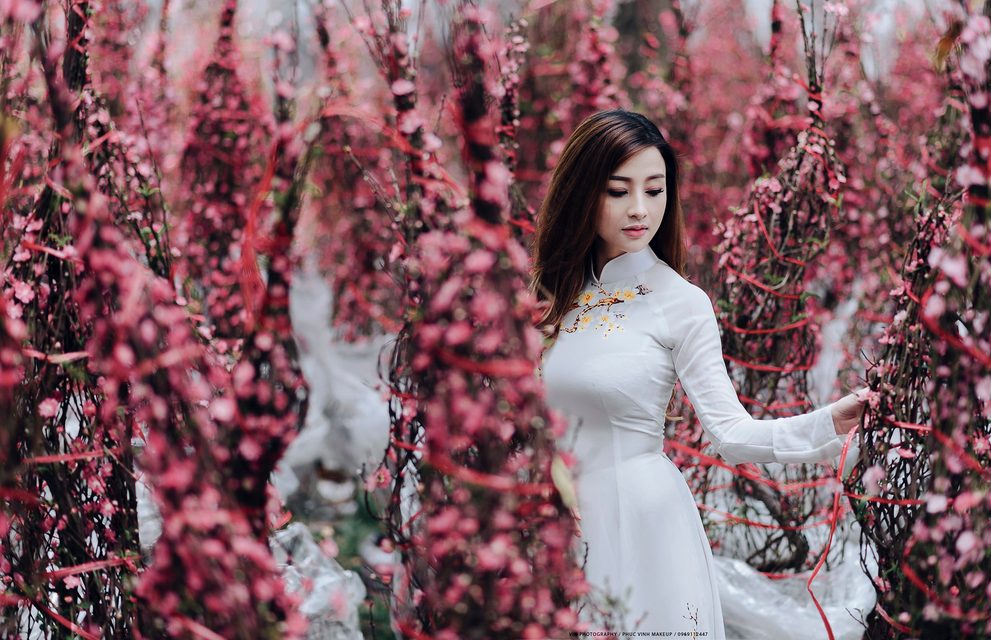 Áo Dài truyền thống Việt Nam 9 – photo 79