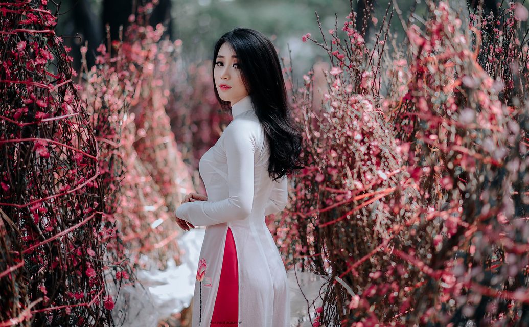 Áo Dài truyền thống Việt Nam 9 – photo 85