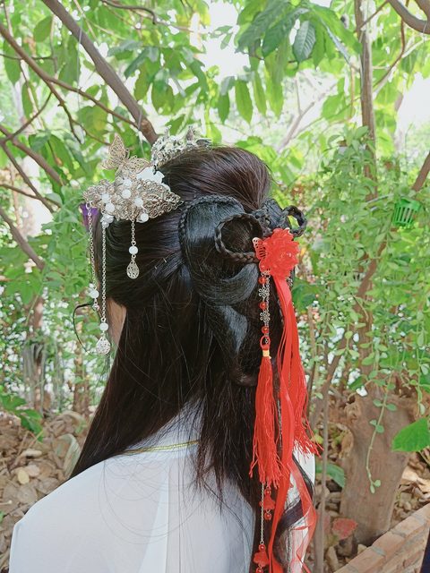 Aomdada Minimini – photo 3