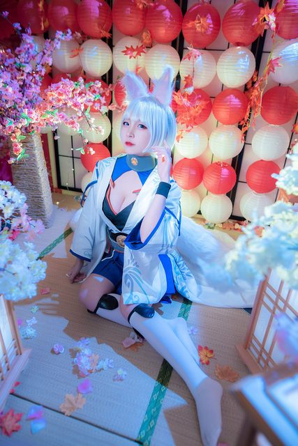 Kaga - 加贺 – photo 11