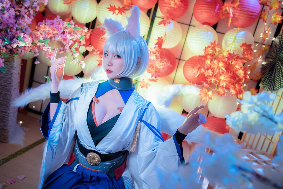 Kaga - 加贺 – photo 15