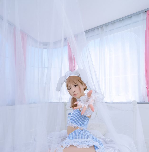 Thỏ Trong Lưới Trắng - 白网里的兔子 – photo 10