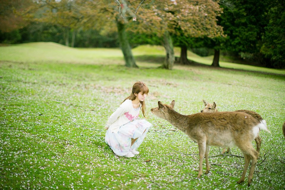Yurisa - Yurisa – photo 86