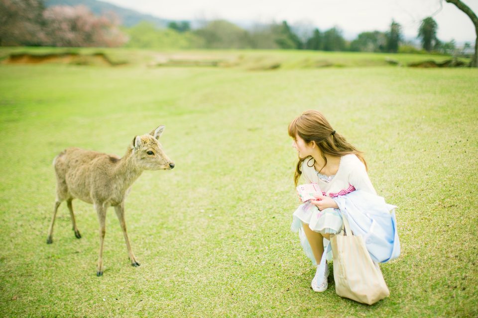 Yurisa - Yurisa – photo 87