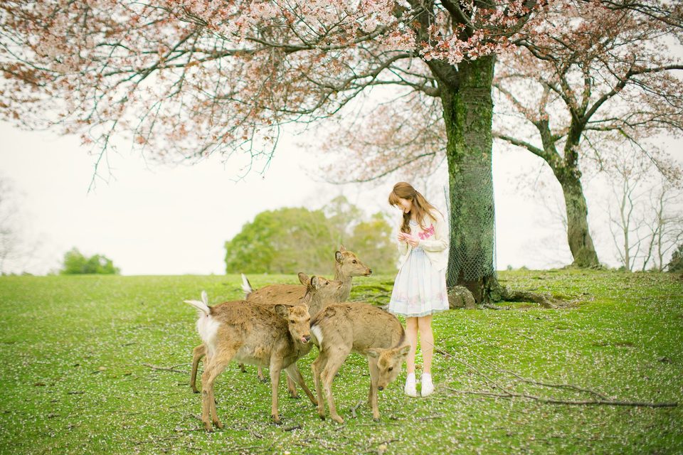 Yurisa - Yurisa – photo 89