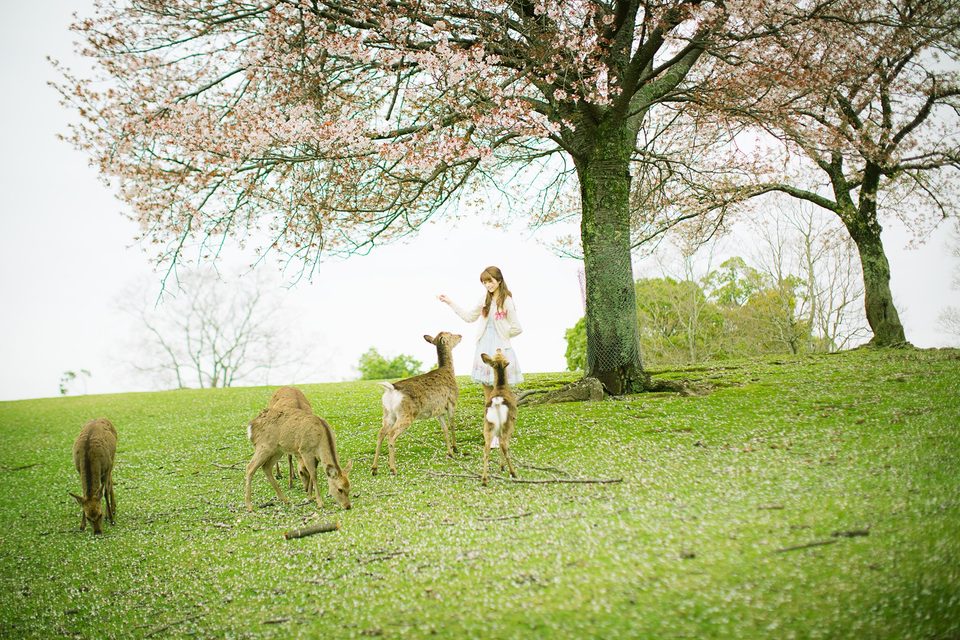 Yurisa - Yurisa – photo 90