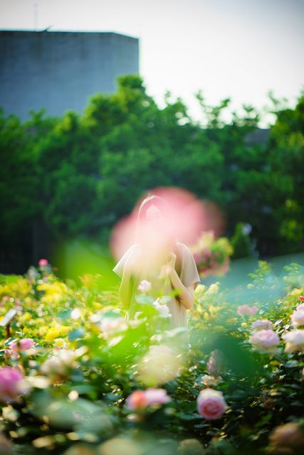 Bambi｜밤비 - Lacerta Photography – photo 58