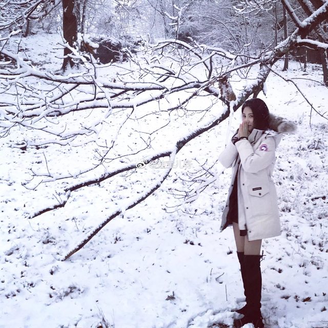 Tiểu Thang Viên｜Sherry Yang - 小汤圆sherry - Weibo – photo 275