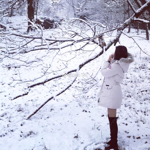 Tiểu Thang Viên｜Sherry Yang - 小汤圆sherry - Weibo – photo 277