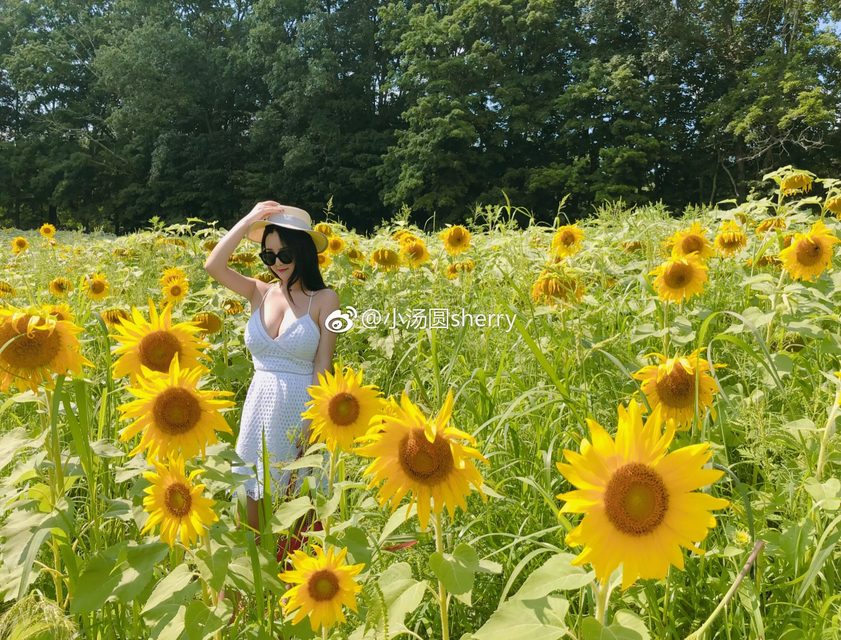 Tiểu Thang Viên｜Sherry Yang - 小汤圆sherry - Weibo – photo 316