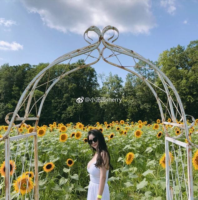 Tiểu Thang Viên｜Sherry Yang - 小汤圆sherry - Weibo – photo 319