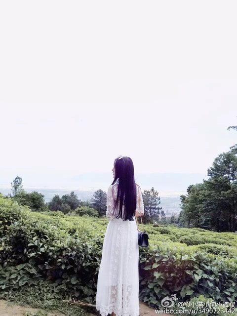 Tiểu Thang Viên｜Sherry Yang - 小汤圆sherry - Weibo – photo 370