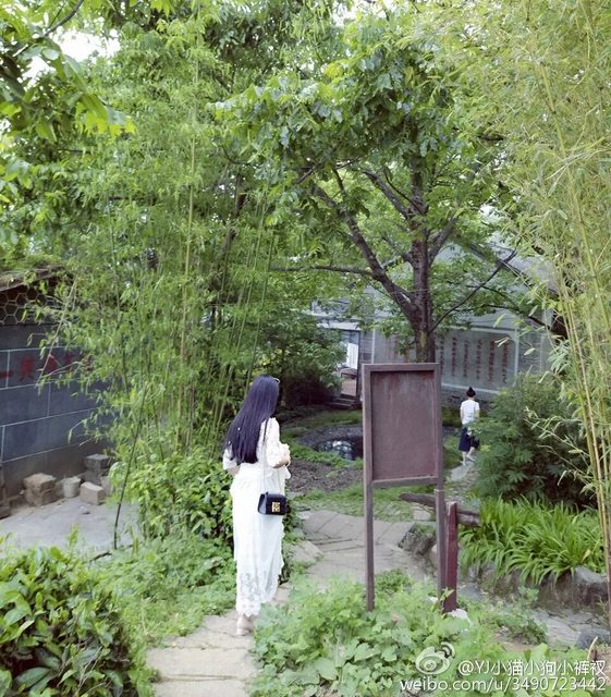 Tiểu Thang Viên｜Sherry Yang - 小汤圆sherry - Weibo – photo 381