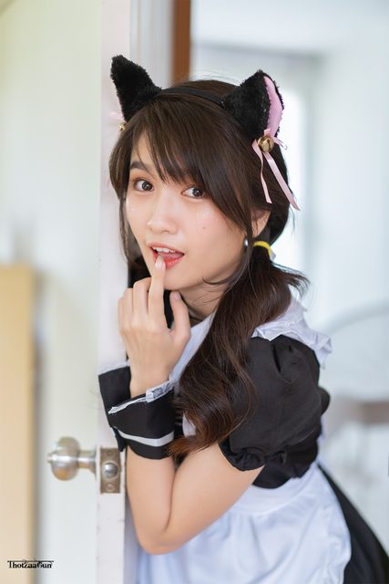 Yatawee Limsiripothong   The cute black cat – photo 12