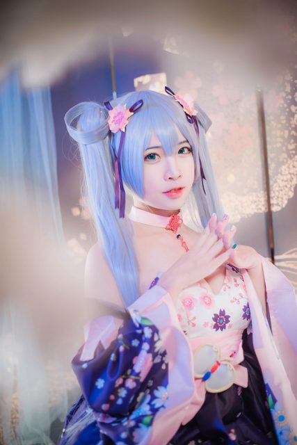 Kaga - 加贺 – photo 1
