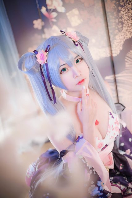 Kaga - 加贺 – photo 2
