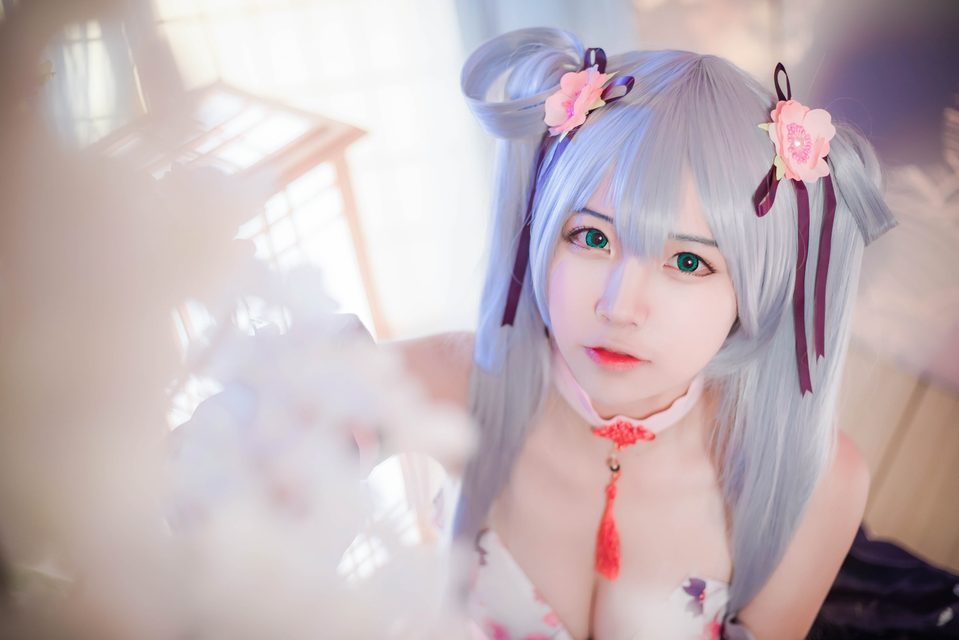 Kaga - 加贺 – photo 4