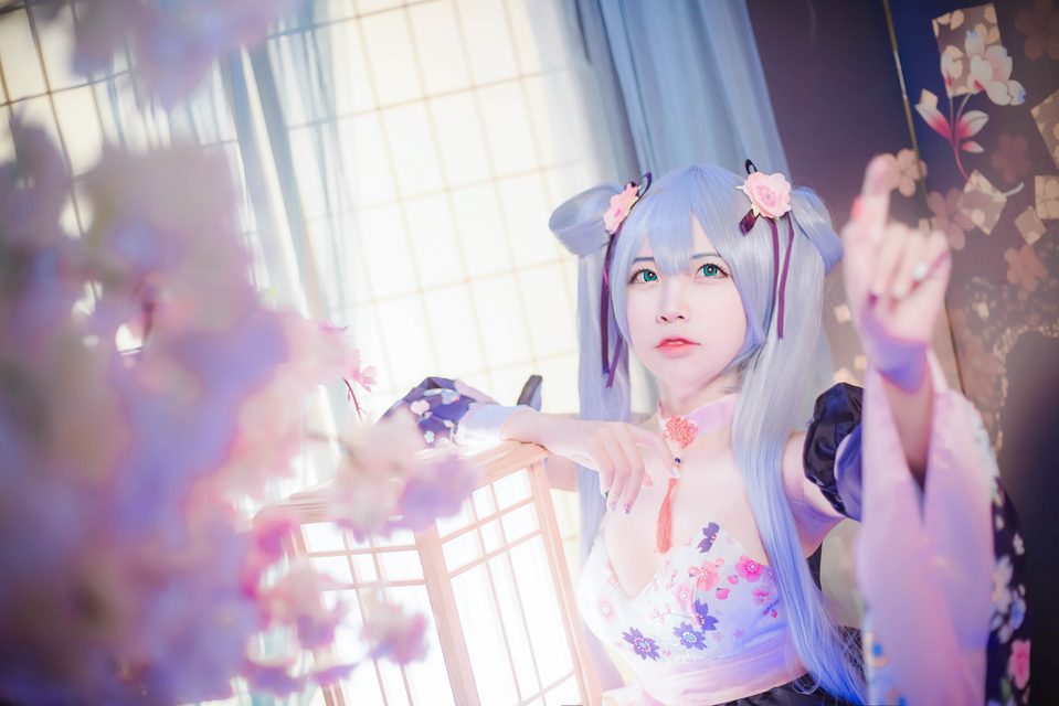 Kaga - 加贺 – photo 7