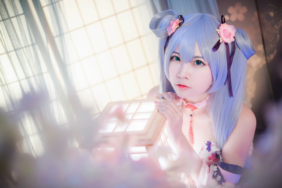 Kaga - 加贺 – photo 9