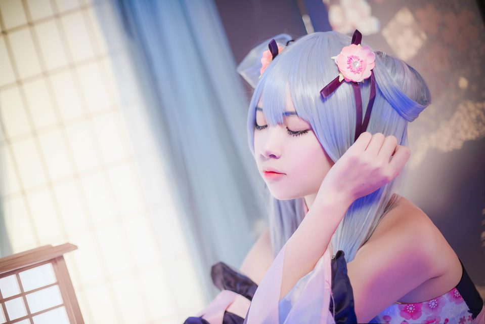 Kaga - 加贺 – photo 12