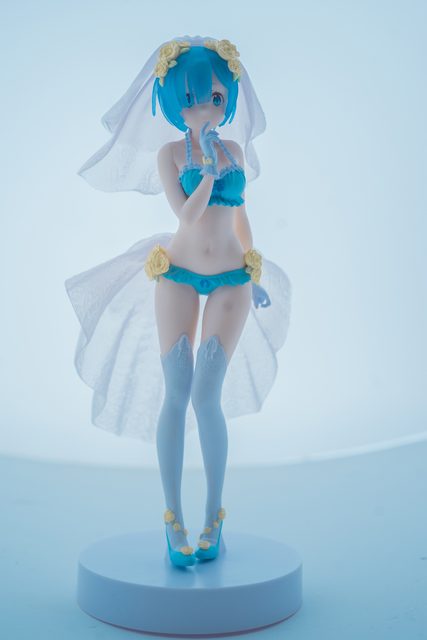 Rem Wedding Dress - 花嫁蕾姆 – photo 17