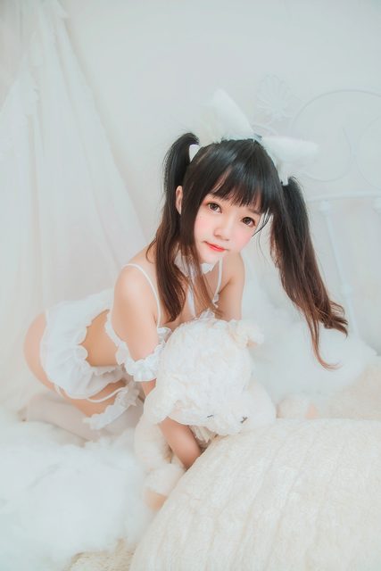 White cat – photo 1