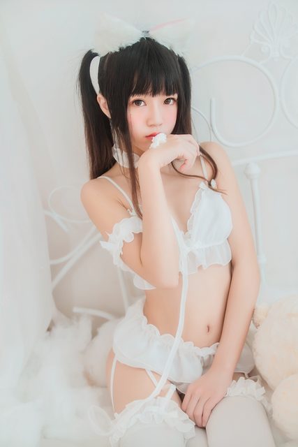 White cat – photo 3