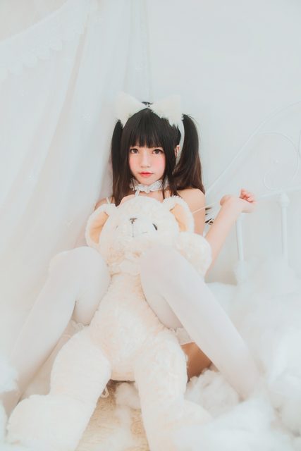 White cat – photo 10