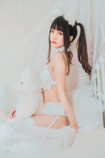 White cat – photo 12