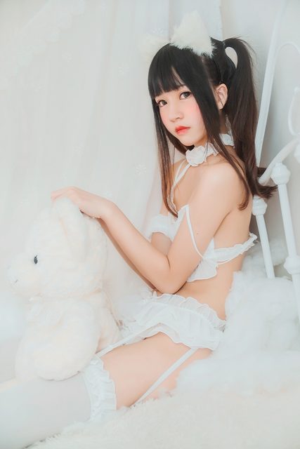 White cat – photo 13