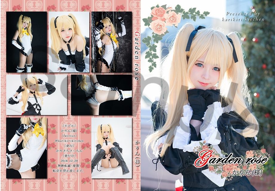 Garden rose (Dead or Alive) – photo 1