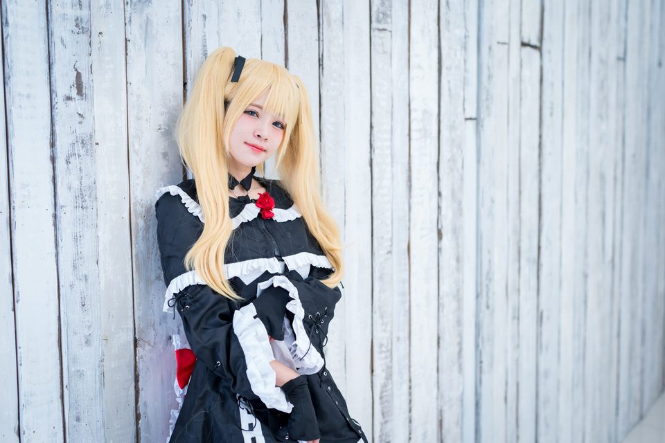 Garden rose (Dead or Alive) – photo 8