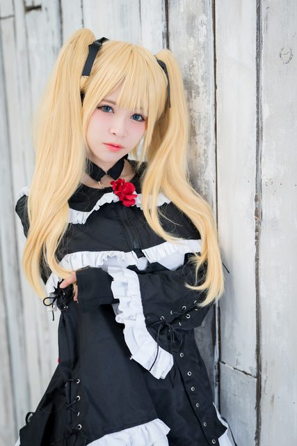 Garden rose (Dead or Alive) – photo 21