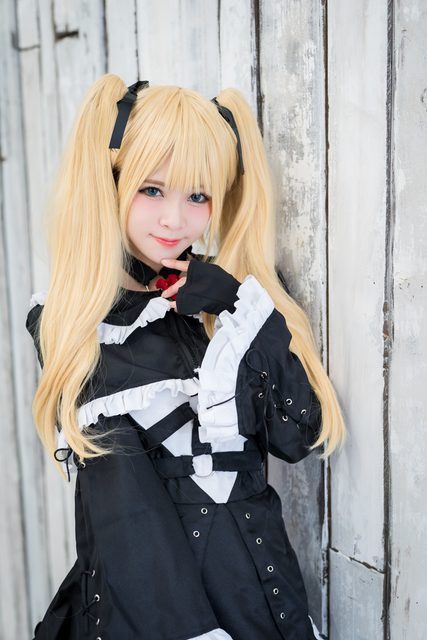 Garden rose (Dead or Alive) – photo 22