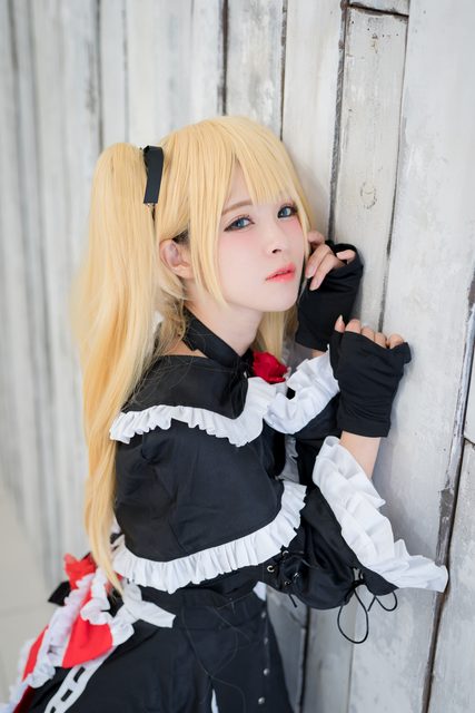 Garden rose (Dead or Alive) – photo 26