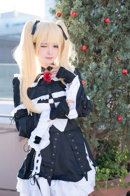 Garden rose (Dead or Alive) – ảnh 82