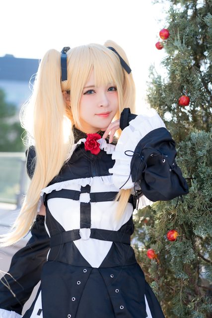 Garden rose (Dead or Alive) – ảnh 83