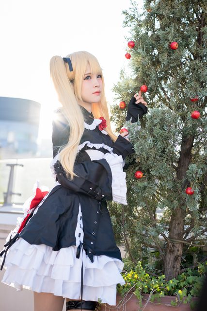Garden rose (Dead or Alive) – ảnh 84