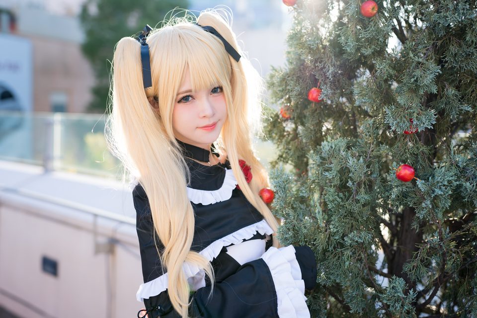 Garden rose (Dead or Alive) – ảnh 85