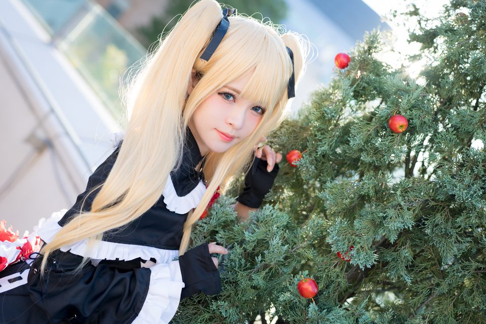 Garden rose (Dead or Alive) – ảnh 86