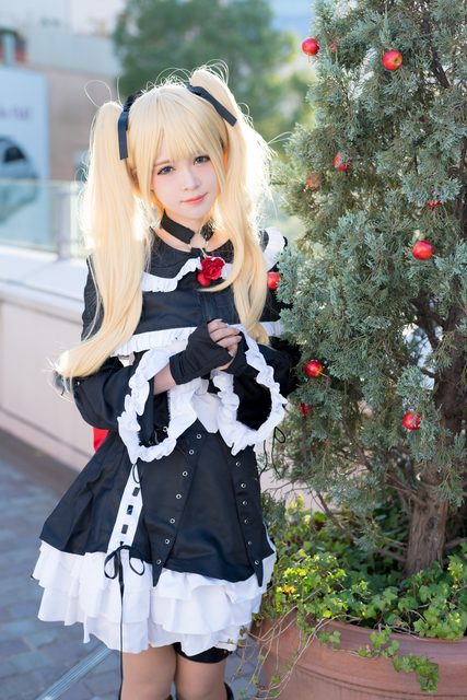 Garden rose (Dead or Alive) – ảnh 88